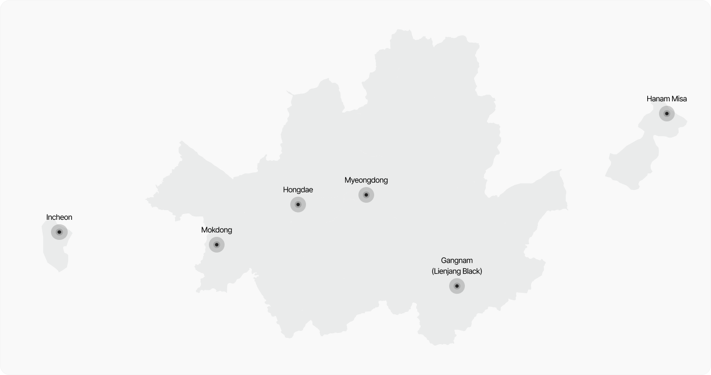 韩国丽安杰网络地图