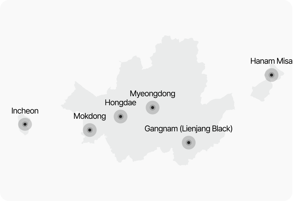 韩国丽安杰网络地图