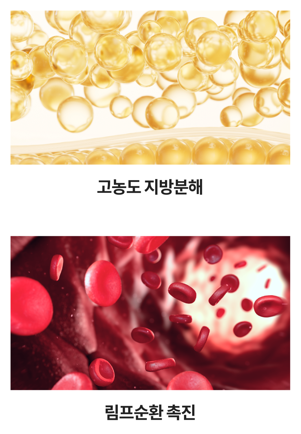 手机版轮廓针溶脂·促进淋巴循环说明图片