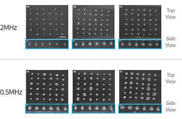 Twin Pixel 增效手柄